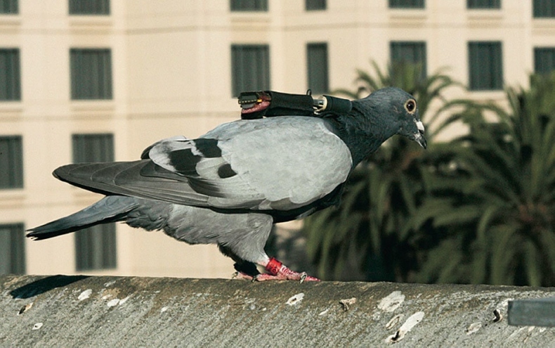 Иллюстрация к книге — Цифровое искусство [i_272.jpg]