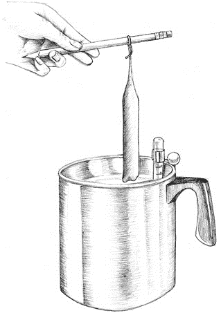 Иллюстрация к книге — Йоль: ритуалы, рецепты и обряды в день зимнего солнцестояния [i_021.jpg]