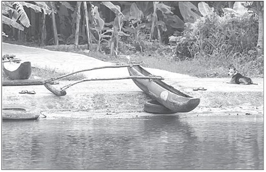 Иллюстрация к книге — История плавающих средств. От плота до субмарины [i_003.jpg]