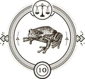 Иллюстрация к книге — Галерея кукол и костей [i_021.jpg]