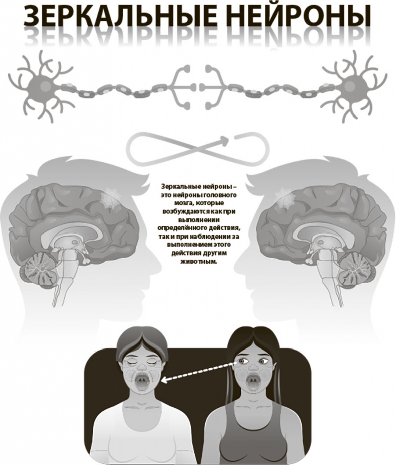 Иллюстрация к книге — Наш мозг в эпоху катаклизмов [i_002.jpg]