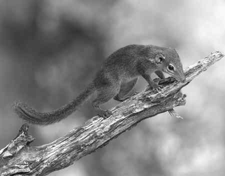 Иллюстрация к книге — Наш мозг в эпоху катаклизмов [i_009.jpg]