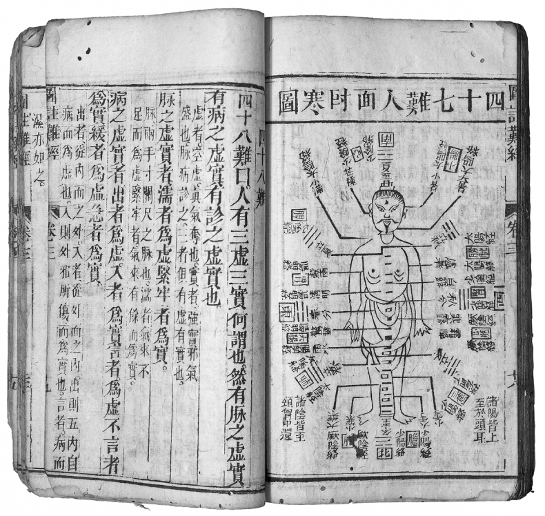 Иллюстрация к книге — Чуткое ухо. Что может рассказать о вашем здоровье ушная раковина [i_026.jpg]