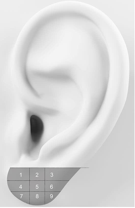 Иллюстрация к книге — Чуткое ухо. Что может рассказать о вашем здоровье ушная раковина [i_066.jpg]