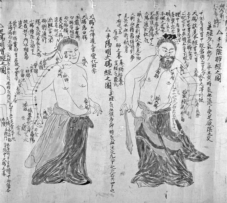 Иллюстрация к книге — Чуткое ухо. Что может рассказать о вашем здоровье ушная раковина [i_080.jpg]