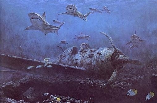 Иллюстрация к книге — Авианосцы [i_069.jpg]