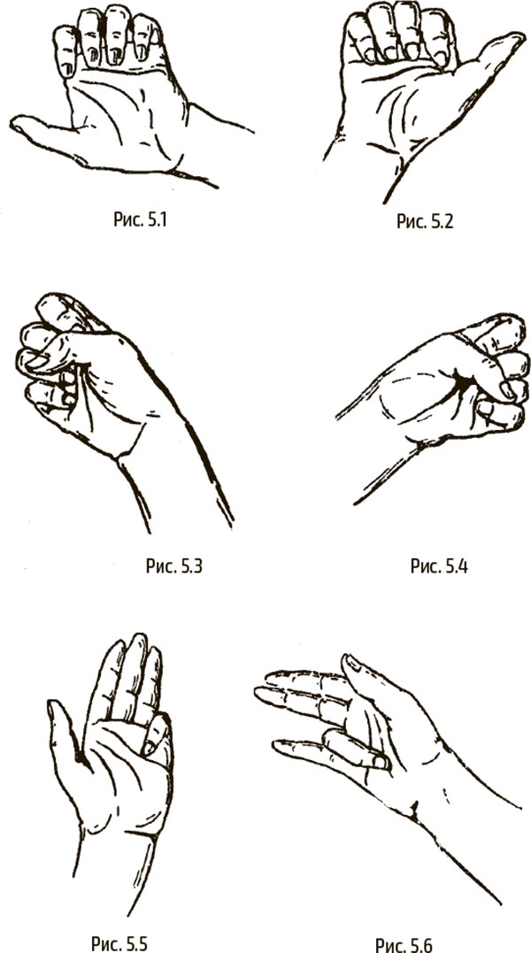 Иллюстрация к книге — Йога для укрепления спины и суставов. Современное руководство по древней египетской методике исцеления маздазнан [i_140.jpg]