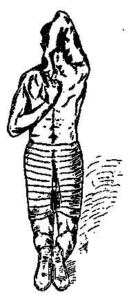 Иллюстрация к книге — Йога для укрепления спины и суставов. Современное руководство по древней египетской методике исцеления маздазнан [i_156.jpg]