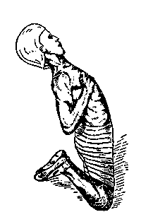 Иллюстрация к книге — Йога для укрепления спины и суставов. Современное руководство по древней египетской методике исцеления маздазнан [i_171.jpg]