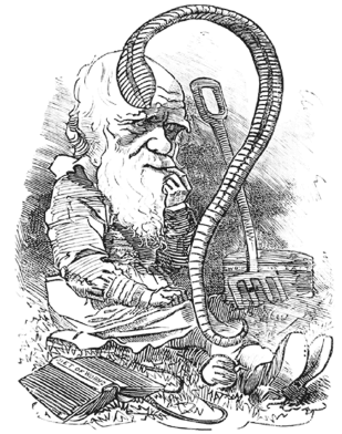 Иллюстрация к книге — Дарвин на отдыхе. Размышляем над теорией эволюции [i_007.jpg]