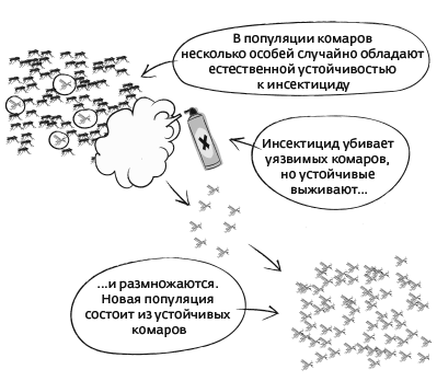 Иллюстрация к книге — Дарвин на отдыхе. Размышляем над теорией эволюции [i_008.jpg]