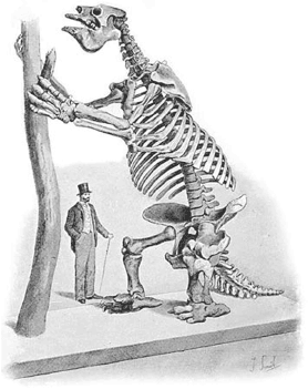 Иллюстрация к книге — Дарвин на отдыхе. Размышляем над теорией эволюции [i_019.jpg]