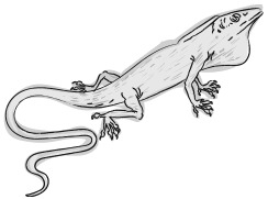 Иллюстрация к книге — Дарвин на отдыхе. Размышляем над теорией эволюции [i_023.jpg]