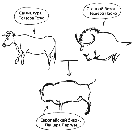 Иллюстрация к книге — Дарвин на отдыхе. Размышляем над теорией эволюции [i_027.jpg]