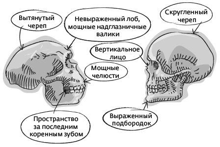 Иллюстрация к книге — Дарвин на отдыхе. Размышляем над теорией эволюции [i_028.jpg]