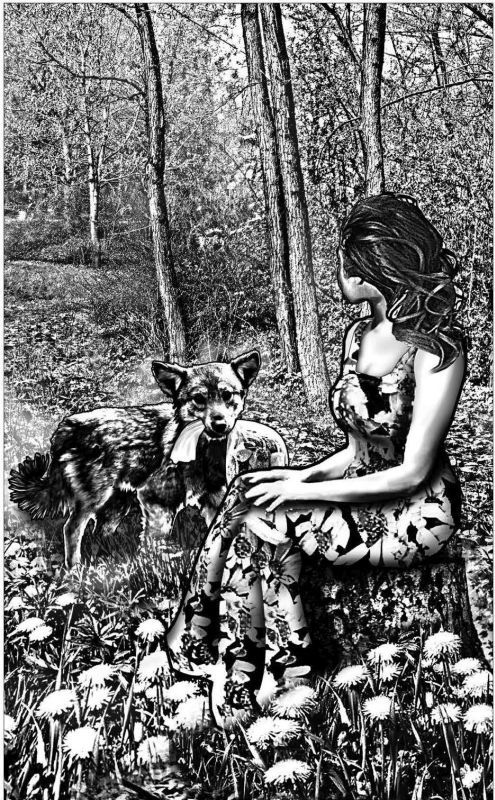 Иллюстрация к книге — Во власти речных ведьм [i_018.jpg]