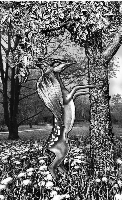 Иллюстрация к книге — Во власти речных ведьм [i_026.jpg]