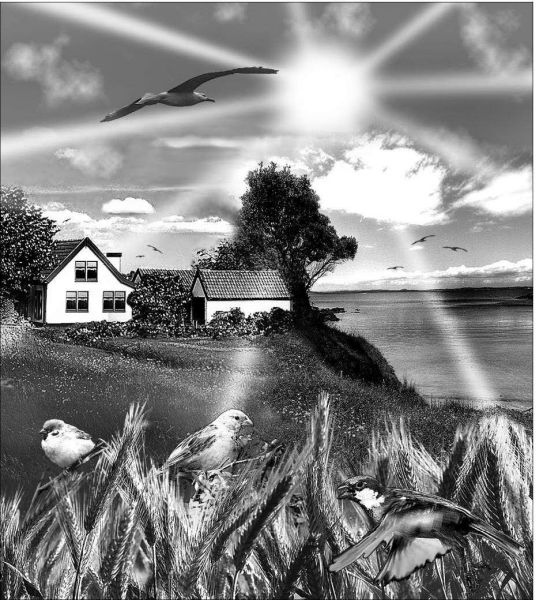 Иллюстрация к книге — Во власти речных ведьм [i_029.jpg]