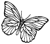 Иллюстрация к книге — Гоблин. Романтическое заклятье [i_004.jpg]