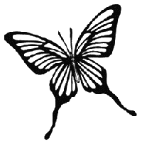 Иллюстрация к книге — Гоблин. Романтическое заклятье [i_013.jpg]