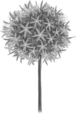 Иллюстрация к книге — Секрет единорогов [i_002.jpg]