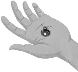 Иллюстрация к книге — Секрет единорогов [i_015.jpg]