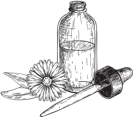 Иллюстрация к книге — Зачем мужчинам соски? Вопросы, которые ты осмелишься задать доктору только после третьего бокала [i_005.jpg]