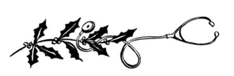 Иллюстрация к книге — Осторожно, Рождество! Что происходит с теми, кому не удалось избежать дежурства в праздники [i_009.jpg]