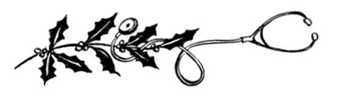 Иллюстрация к книге — Осторожно, Рождество! Что происходит с теми, кому не удалось избежать дежурства в праздники [i_054.jpg]