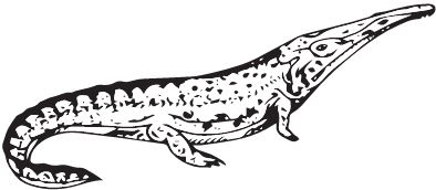 Иллюстрация к книге — Палеонтология антрополога. Книга 2. Мезозой [i_011.jpg]