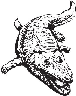 Иллюстрация к книге — Палеонтология антрополога. Книга 2. Мезозой [i_012.jpg]