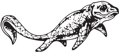 Иллюстрация к книге — Палеонтология антрополога. Книга 2. Мезозой [i_016.jpg]