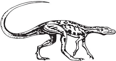 Иллюстрация к книге — Палеонтология антрополога. Книга 2. Мезозой [i_028.jpg]