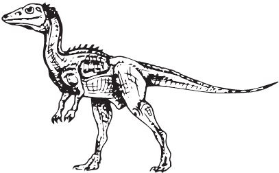 Иллюстрация к книге — Палеонтология антрополога. Книга 2. Мезозой [i_030.jpg]