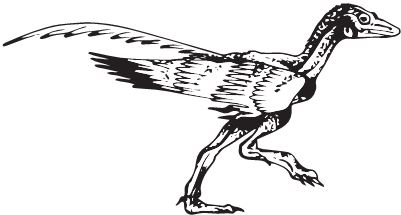 Иллюстрация к книге — Палеонтология антрополога. Книга 2. Мезозой [i_033.jpg]