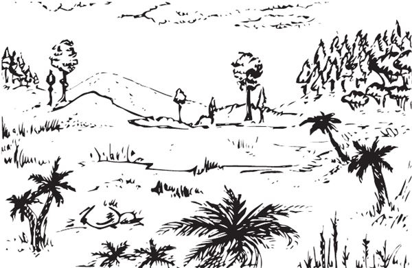 Иллюстрация к книге — Палеонтология антрополога. Книга 2. Мезозой [i_040.jpg]