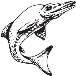 Иллюстрация к книге — Палеонтология антрополога. Книга 2. Мезозой [i_048.jpg]