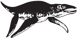 Иллюстрация к книге — Палеонтология антрополога. Книга 2. Мезозой [i_049.jpg]