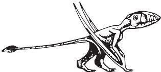 Иллюстрация к книге — Палеонтология антрополога. Книга 2. Мезозой [i_052.jpg]