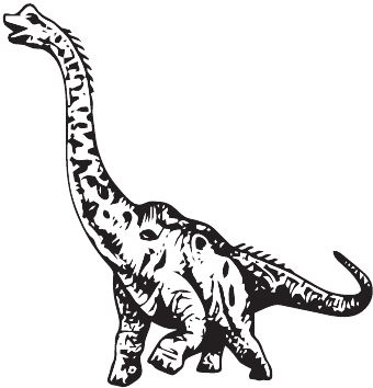 Иллюстрация к книге — Палеонтология антрополога. Книга 2. Мезозой [i_060.jpg]