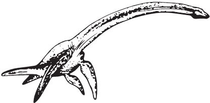 Иллюстрация к книге — Палеонтология антрополога. Книга 2. Мезозой [i_064.jpg]