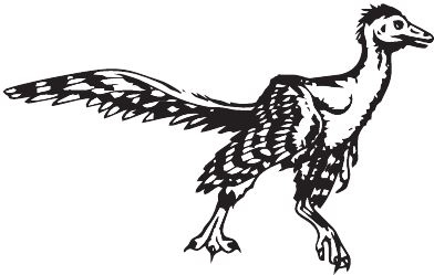 Иллюстрация к книге — Палеонтология антрополога. Книга 2. Мезозой [i_066.jpg]