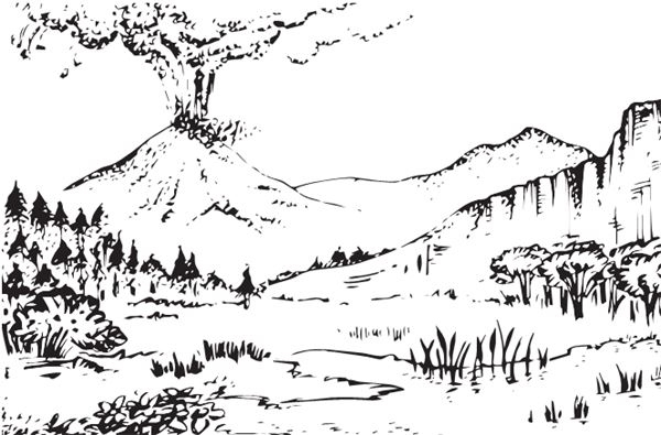 Иллюстрация к книге — Палеонтология антрополога. Книга 2. Мезозой [i_072.jpg]