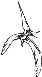 Иллюстрация к книге — Палеонтология антрополога. Книга 2. Мезозой [i_088.jpg]