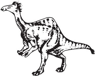 Иллюстрация к книге — Палеонтология антрополога. Книга 2. Мезозой [i_094.jpg]