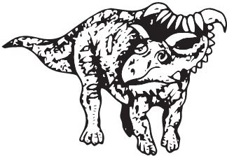 Иллюстрация к книге — Палеонтология антрополога. Книга 2. Мезозой [i_108.jpg]