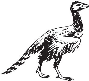 Иллюстрация к книге — Палеонтология антрополога. Книга 2. Мезозой [i_111.jpg]