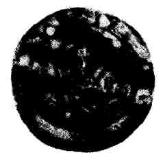 Иллюстрация к книге — Ярослав Мудрый [pic_10.jpg]