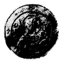 Иллюстрация к книге — Ярослав Мудрый [pic_4.jpg]