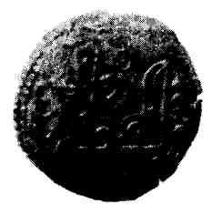 Иллюстрация к книге — Ярослав Мудрый [pic_8.jpg]